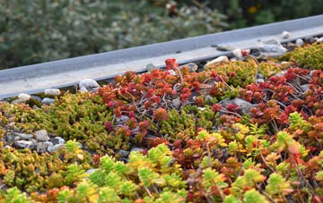 the cost of Hepthorne Lane green roof installation