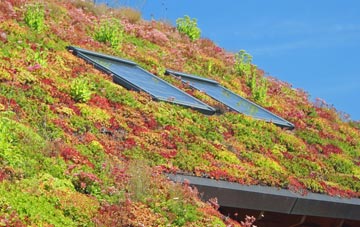 Hepthorne Lane living roof systems